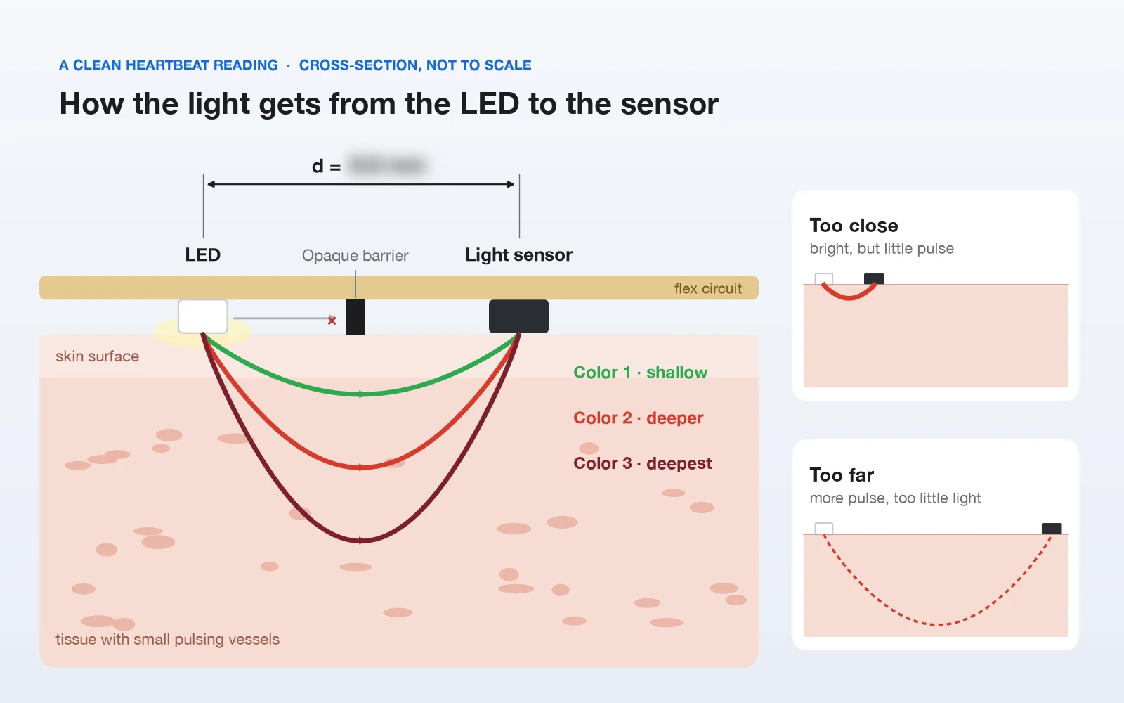 A cross-section: an LED and a light sensor on the skin side of the flex circuit, an opaque barrier between them, and three colored light paths curving down through the skin to different depths. Small panels show the sensor too close and too far. The LED-to-sensor distance is blurred.
